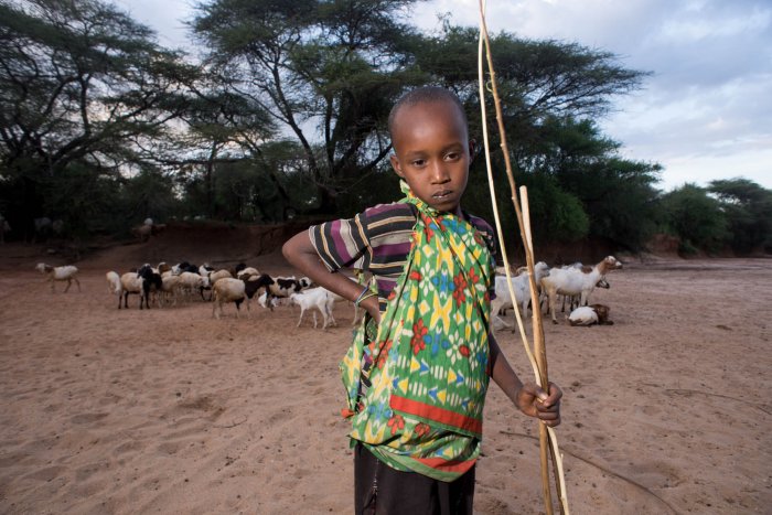 Lchekutis, Maasai Child Shepherds